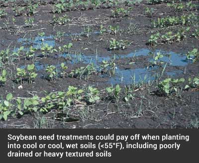 PROFITABLE DECISIONS: SOYBEAN SEED TREATMENT